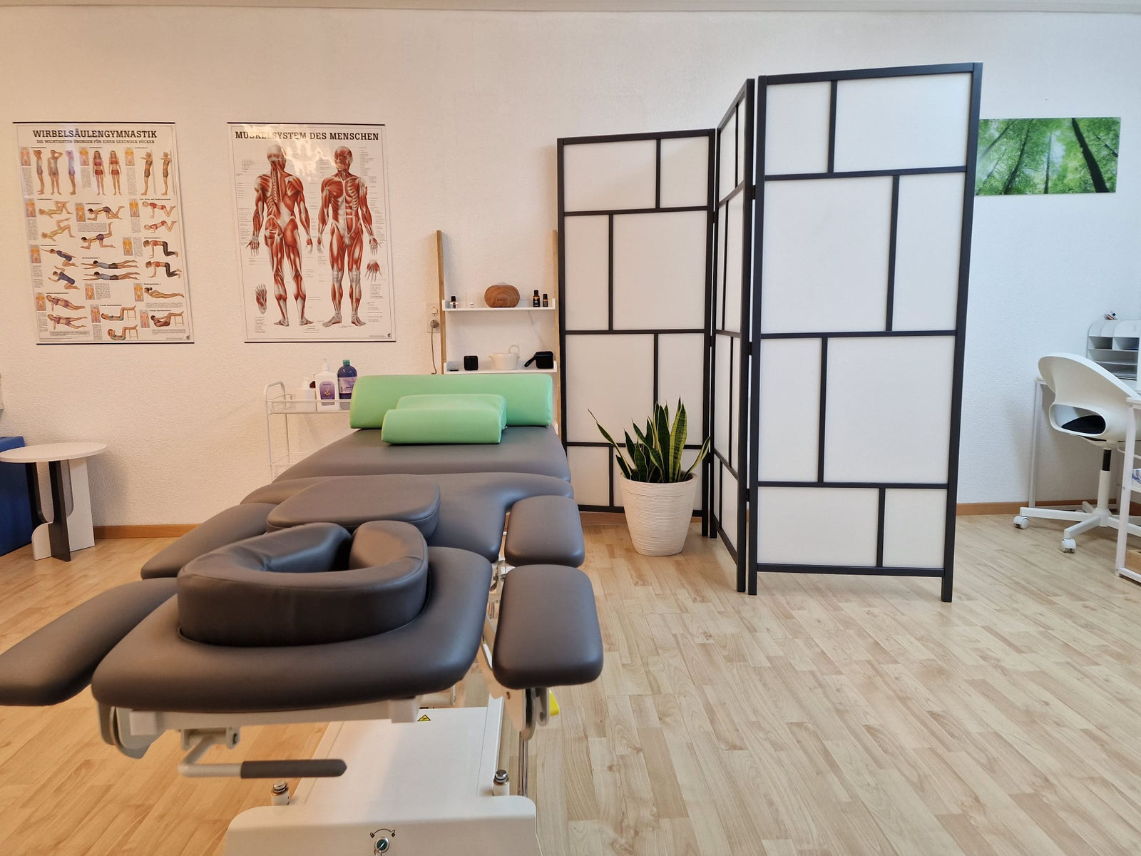 Behandlungszimmer der Flex Massage Praxis in Frauenfeld mit Massageliege